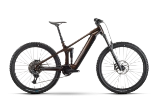 RAYMON DUROK PRO 800 Wh AVINOX TOFFEE/BROWN 29"